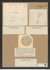 Coscinodiscus odontiscus Grun. (de-Toni-Nr.: Genus 202, Species 4927) Zeichnungen Sammlung Grunow Nr. 8698 (NHMW-BOT-W0378120)